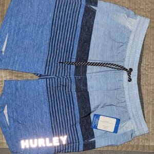 Hurley Men's Blue Striped Shorts